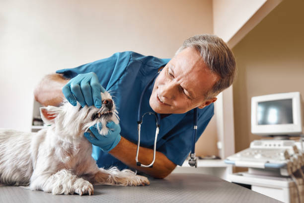 Best Emergency Tooth Extraction in Green Village, NJ